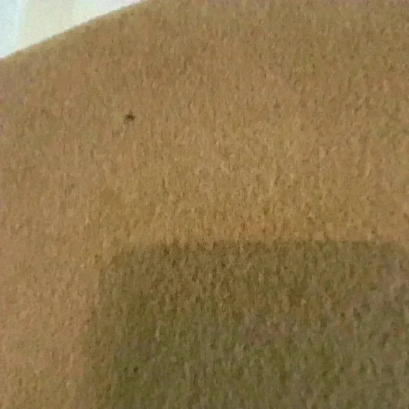 VTG Saint Laurie 2 Button Tan Wool Blazer - Picture 3 of 5